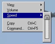 16. Click Speed to adjust the playback speed using the speed slider control, as shown below: Click and drag the slider button down to decrease playback speed.