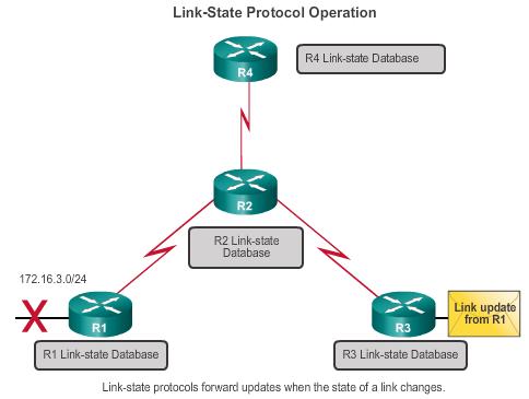 TYPES OF ROUTING PROTOCOLS LINK-STATE ROUTING PROTOCOLS Link-state IPv4 IGPs: