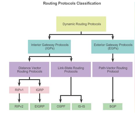 TYPES OF ROUTING PROTOCOLS