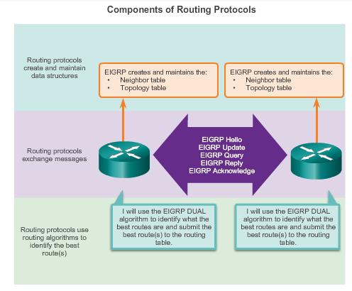 DYNAMIC ROUTING PROTOCOL OPERATION