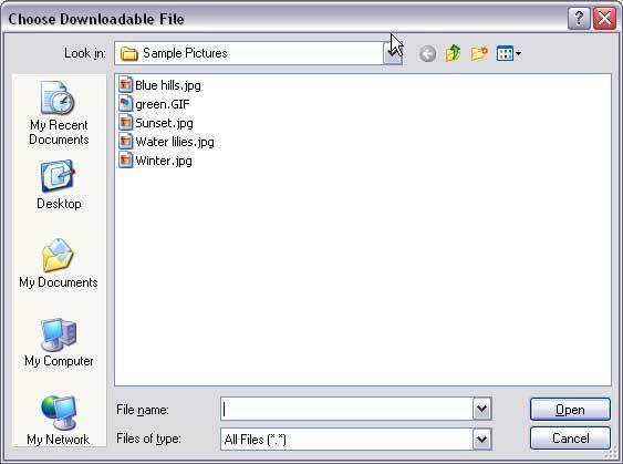 4. Select a file and click Open. The Choose Downloadable File window disappears. 5. In Link Text, type the text you want as the link to the file.