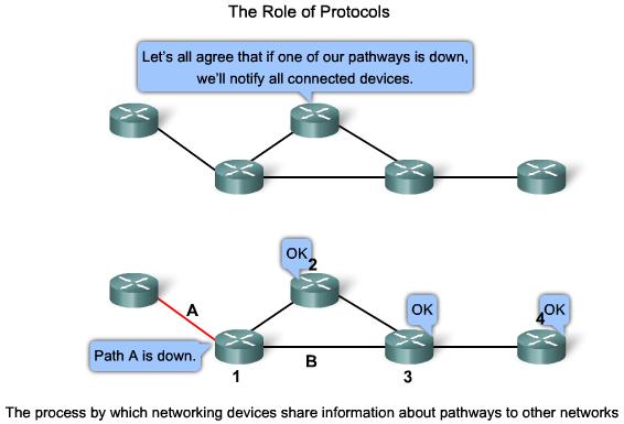 Function of Protocol in Network Communication Network protocols Network protocols are used to allow devices to communicate successfully The format of the message, such as how much data to put into