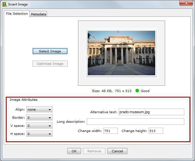 Space around an Image From the Insert Image dialog box, notice that you can add vertical space (V space) or horizontal space (H space) in pixels (See Figure 24).