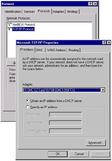 3 - Configuring Client Computer 2) Double-click the Network icon. 3) In the Network window, select the Protocols tab. Double-click TCP/IP Protocol.