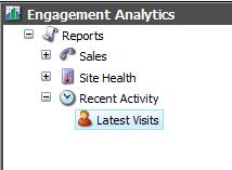 7.1.3 Recent Activity Recent activity reports record the latest visits to your website.
