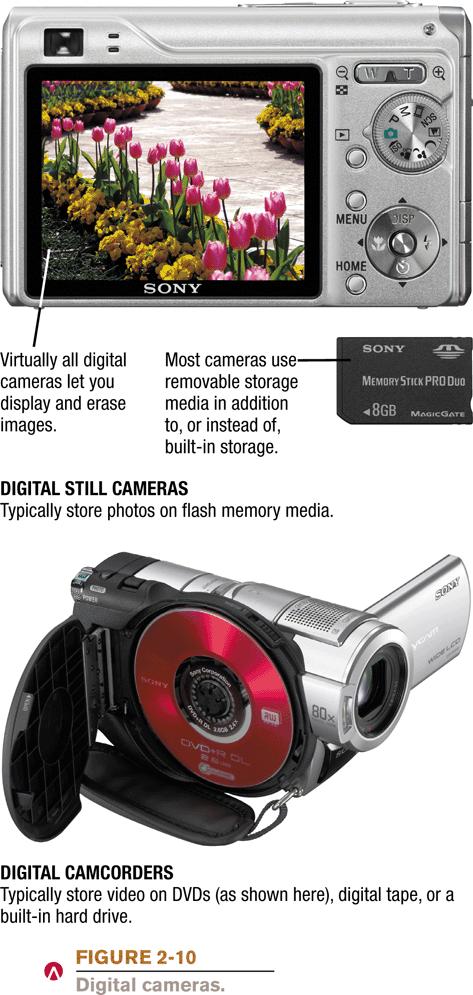 Input Hardware Digital cameras: Record images on digital storage media such as flash memory cards, hard drives, DVD discs, etc.