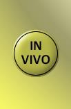 In-vitro to in-vivo The software automatically senses when the sensor leaves the laboratory setup.