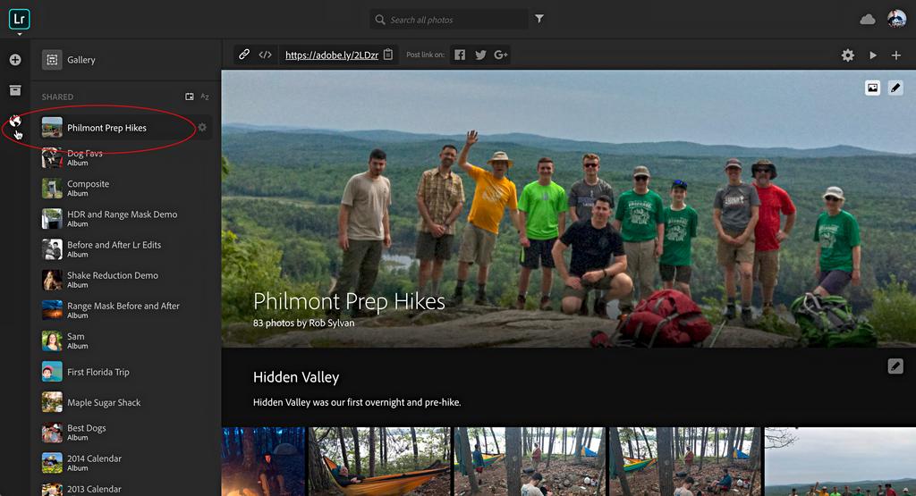These shared groups of photos are only displayed when you click the globe icon in Lightroom for web to filter only your shared collections.