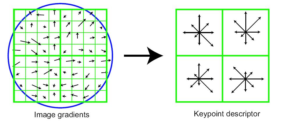 4. Keypoint Descriptor Compute image gradient magnitude and orientation around keypoint Surrounding divided into 4x4 subregions Accumulate into orientation histograms (8