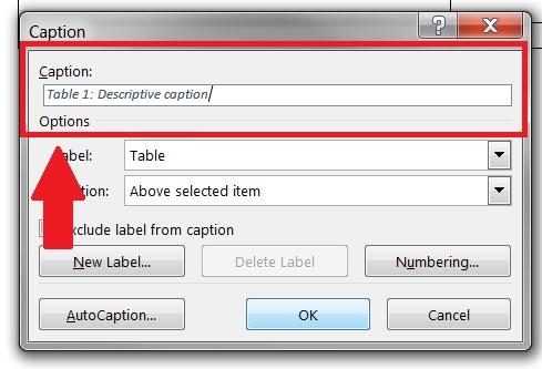 Provide Alternative Text or a Caption that gives a summary of the table.