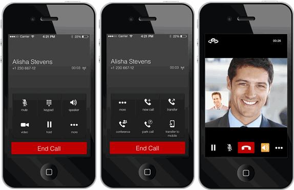 Answer a Call An incoming call is indicated with a ringtone. There are two options on the incoming call screen: Accept and Decline.