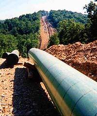 TSA and Pipeline Security As the Co-Sector Specific Agency for the Transportation Sector, TSA s pipeline security responsibilities include: Natural gas and hazardous liquid transmission pipelines,