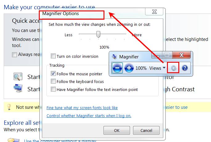 Using the Magnifier To change Magnifier views: Click the Views
