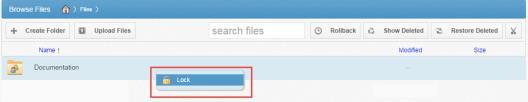 Part 6: Locking Files and Folders File locking allows users to place locks on files and folders.