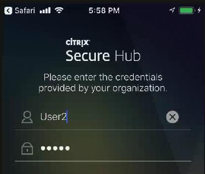 On the Apple device, install Citrix