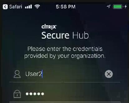 The user will need the administrator permissions on Citrix XenMobile.