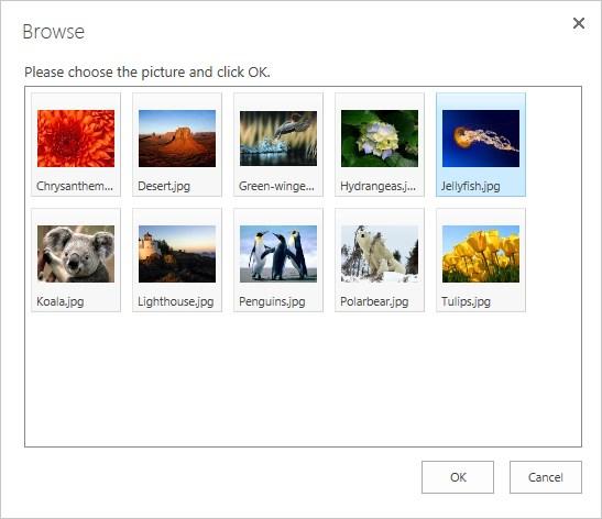 In item creation or item editing mode click Upload Picture, browse to folder with desired picture, select file and click OK in Upload Picture dialog.