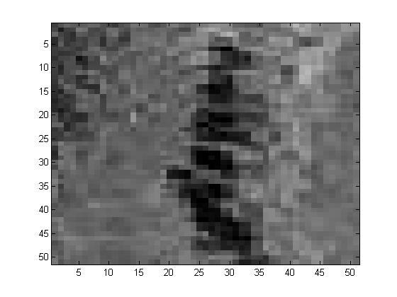 Figure: The same hedge in the LIDAR and optical image.