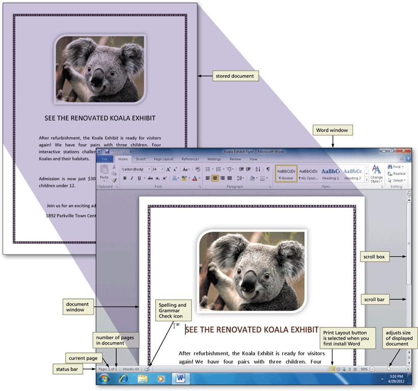 The Word Document Window, Ribbon, and Elements Common to Office