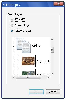 PNG File When Whiteboard pages are saved as Image files (.