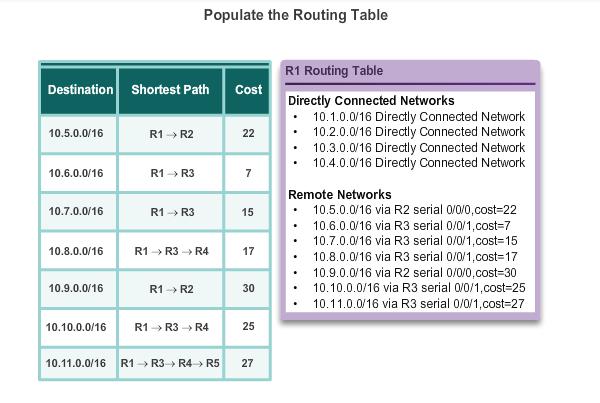 Adding OSPF Routes