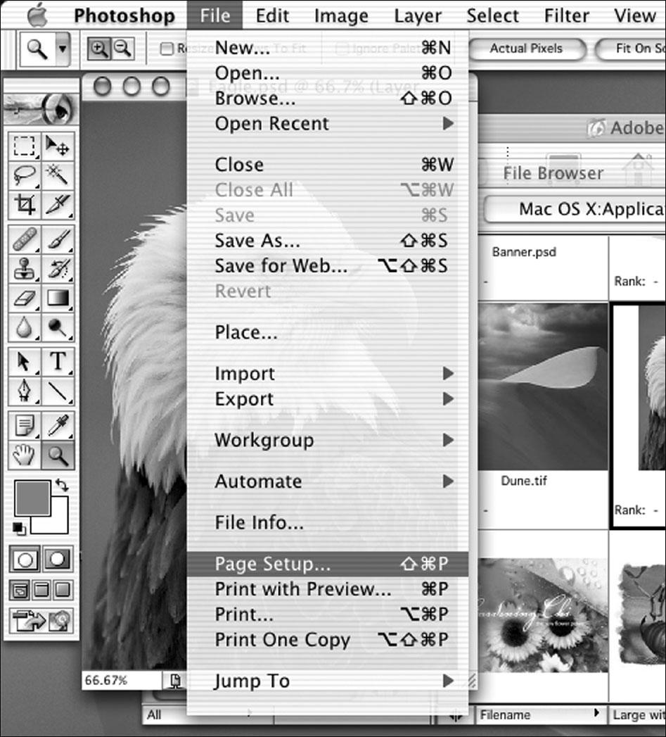 If a print job is currently in progress, the corresponding document name and other data are displayed in the Status Display area (upper part of the screen).