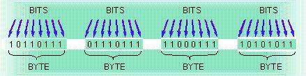 Moving Information Within the Computer How do binary numerals move into, out of, and within the computer? Information is moved about in bytes, or multiple bytes called words.
