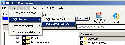 SQL Server Restore The SQL Server Restore wizard lets you restore your database backup files (.