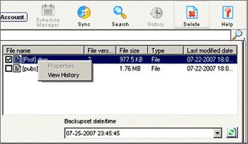 Versioning feature in IBackup Professional In Small and Medium Businesses, maintaining history of each file with its update is necessary for future reference.