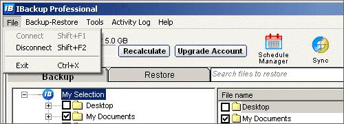 Menu Bar Options IBackup Professional menu bar has the following options: File File Backup-Restore Tools Activity Log Help The File menu has options that let you connect and