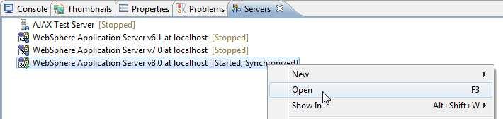 20. In the Server section, check the Terminate server on workbench shutdown checkbox.