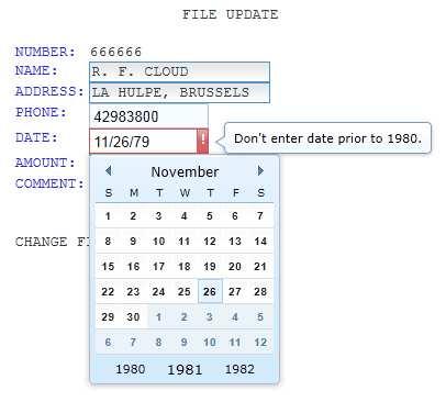29. Entering any invalid format of date into DATE field will prompt the