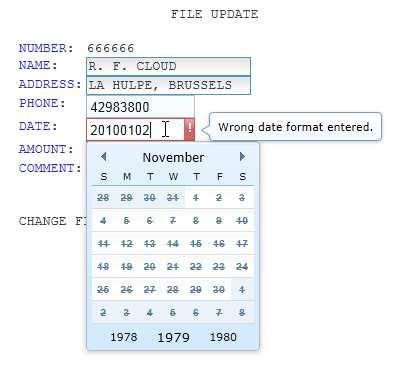 an invalid format of date is entered. 30.