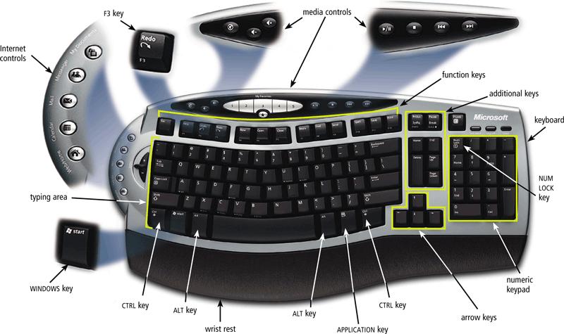 The Keyboard A keyboardis an input device that contains keys users press to enter data and instructions