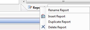 Adding Reports Right click on the tab labeled Report 1 and select Insert Report.