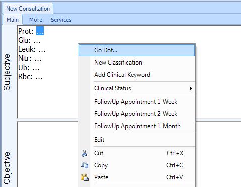 Consultation Enhancements Go Dot in Consultation Notes Patient Consultation When setting up a clinical keyword it is possible to add a Go Dot within the description/ Consultation template that