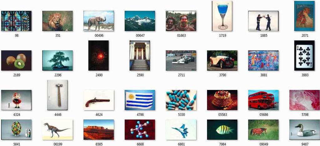 aspx). Corel 5,000 consists of 50 categories, and each category consists of 100 images. But in this study, just 1 image of each category is used that is chosen randomly.