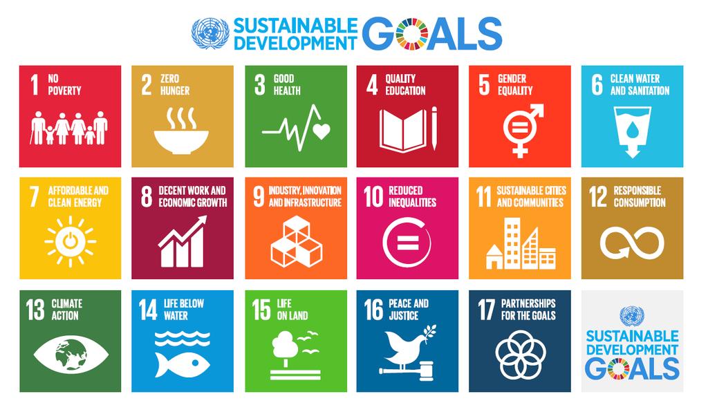 Sustainable Development Goals: the