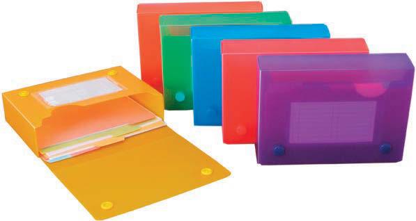 6-20583-90978-3 6/60/240 AE90970 assorted 6-20583-90970-7 6/60/240 Display for Frosted Poly Envelopes