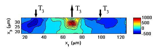 4 = 140 min (f) Cell-induced shear tractions at t 4 = 140 min Figure 4.