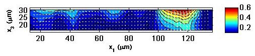 53 (a) Cross-sectional displacement contour plot through the substrate thickness at t 2 = 70 min (b) Enlarged view of the contour plot in 4.4(a) and location of displacement line plot shown in 4.