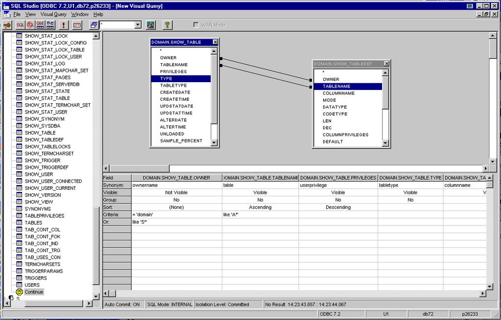 SAP AG Example of a Visual Query Window
