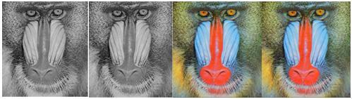 (b) Baboon (d) Stego-Baboon (f) Baboon (h) Stego-Baboon Figure 4.1: Test images(a) (b) and stego-images(c) (d). For grey Figure 4.2: Test images(e) (f) and stego-images(g) (h). For colour 4.