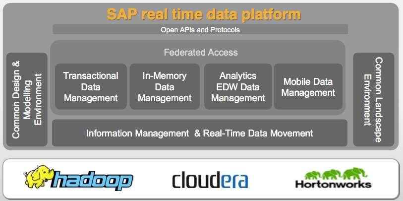 SAP S REAL TIME DATA PLATFORM IN SHORT, WHAT