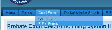From the E-File Forms screen, locate the Guardianships