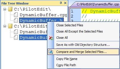 1.2.2. File Tree Window You can activate a file by double clicking on the file name. A pop-up menu will show up when you right click on the File Tree List. 3 6 7 1 2 4 5 1. Close the selected files.