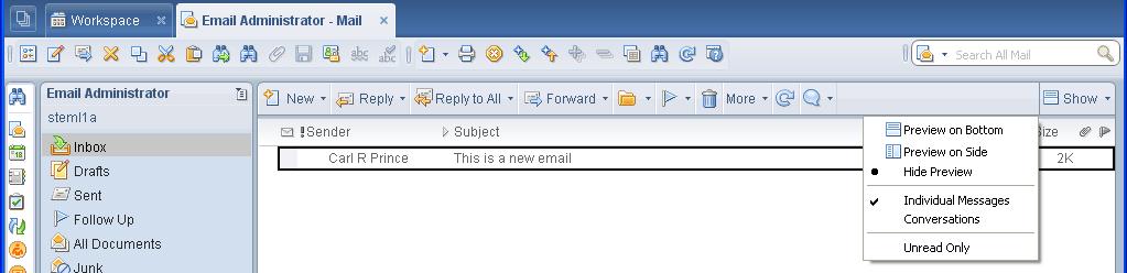 You can quickly identify new email by the color. By default mail highlighted in bold black is unread mail.