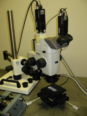 stereo-microscope True X and