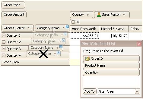 Pivot Table 113 Drag and drop a field onto the Customization Form: Display