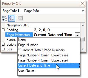Grid locate the Page Information property, and set it to Current Date and
